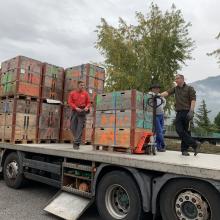 09_E49DABD6-598E-4DE2-B77C-D46445FE060B