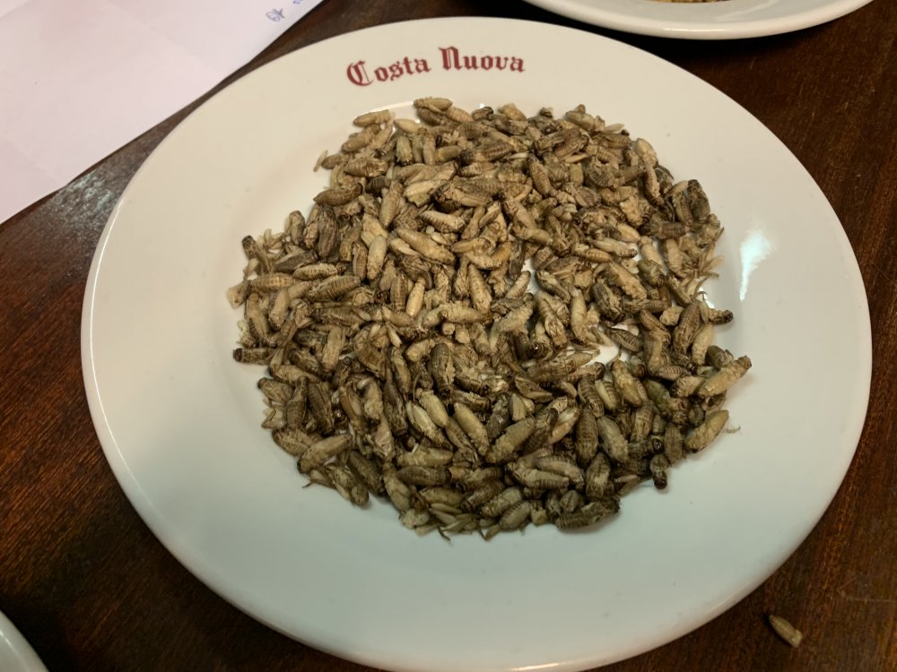 3D494EA9-B0C8-4E55-9560-78280121FE59