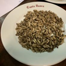 3D494EA9-B0C8-4E55-9560-78280121FE59