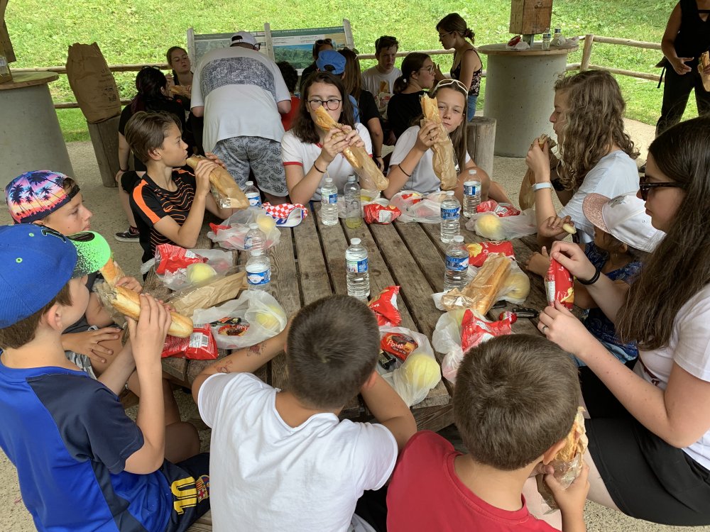 475D24BB-F4A4-40EF-8D66-AD151A69B960