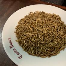 AB0B0F2F-03C8-48E8-BC34-F1254E4ADB23