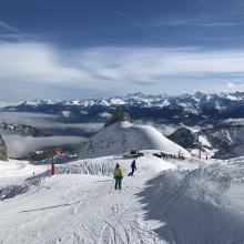 401C01C5-293E-41CC-B822-2346C899F982